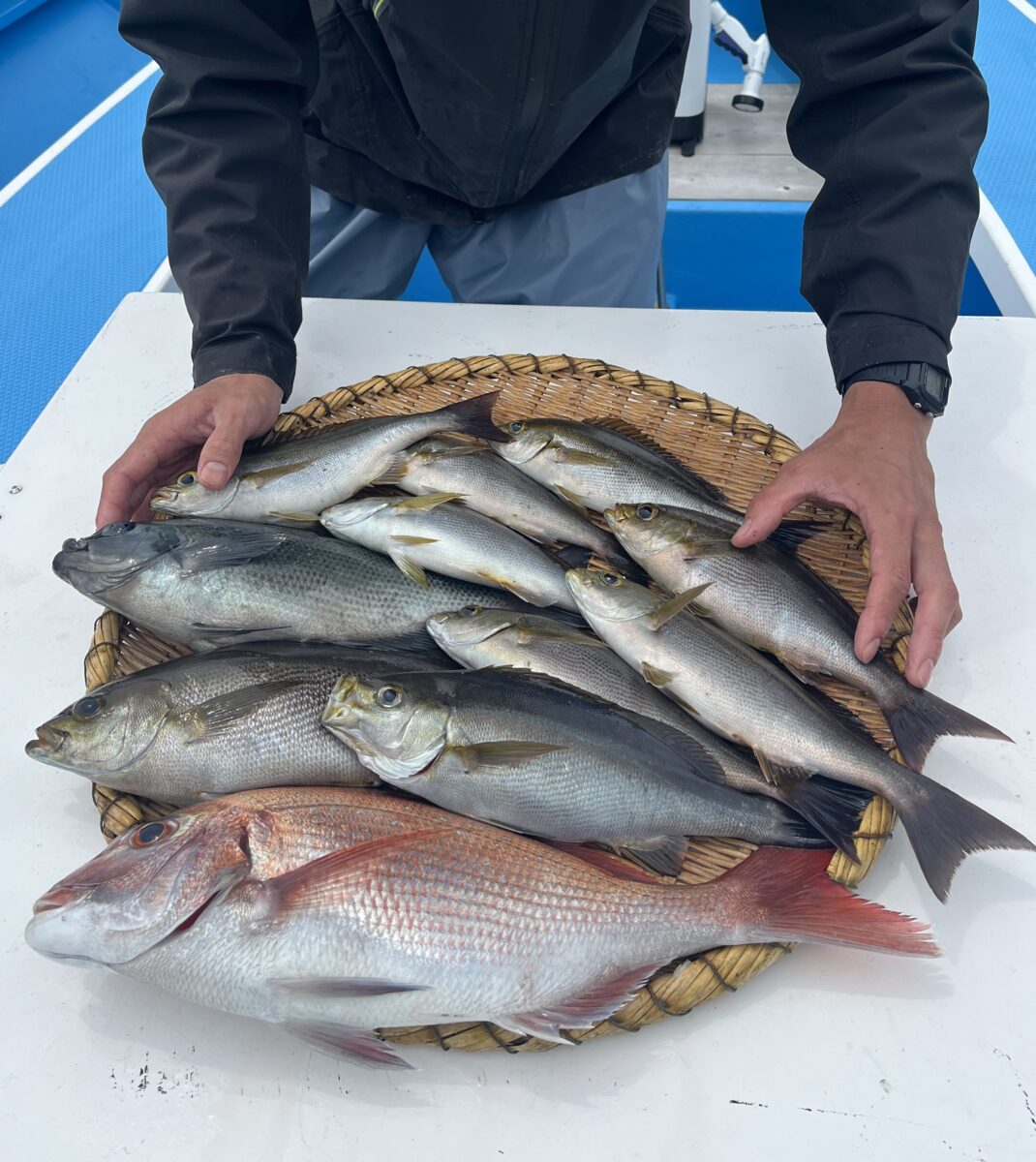 釣果速報 ②