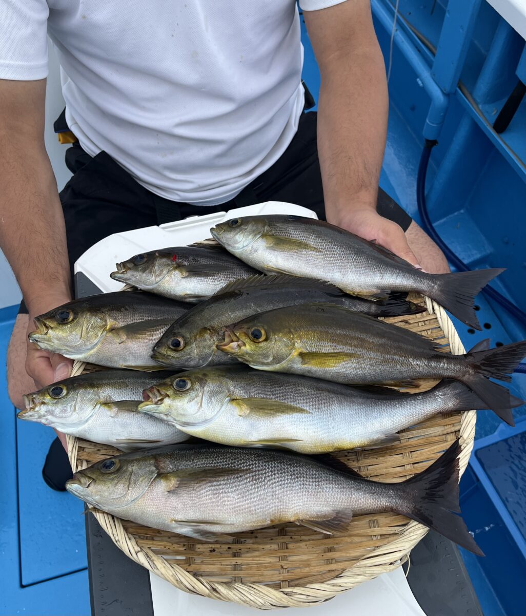 釣果速報 ①