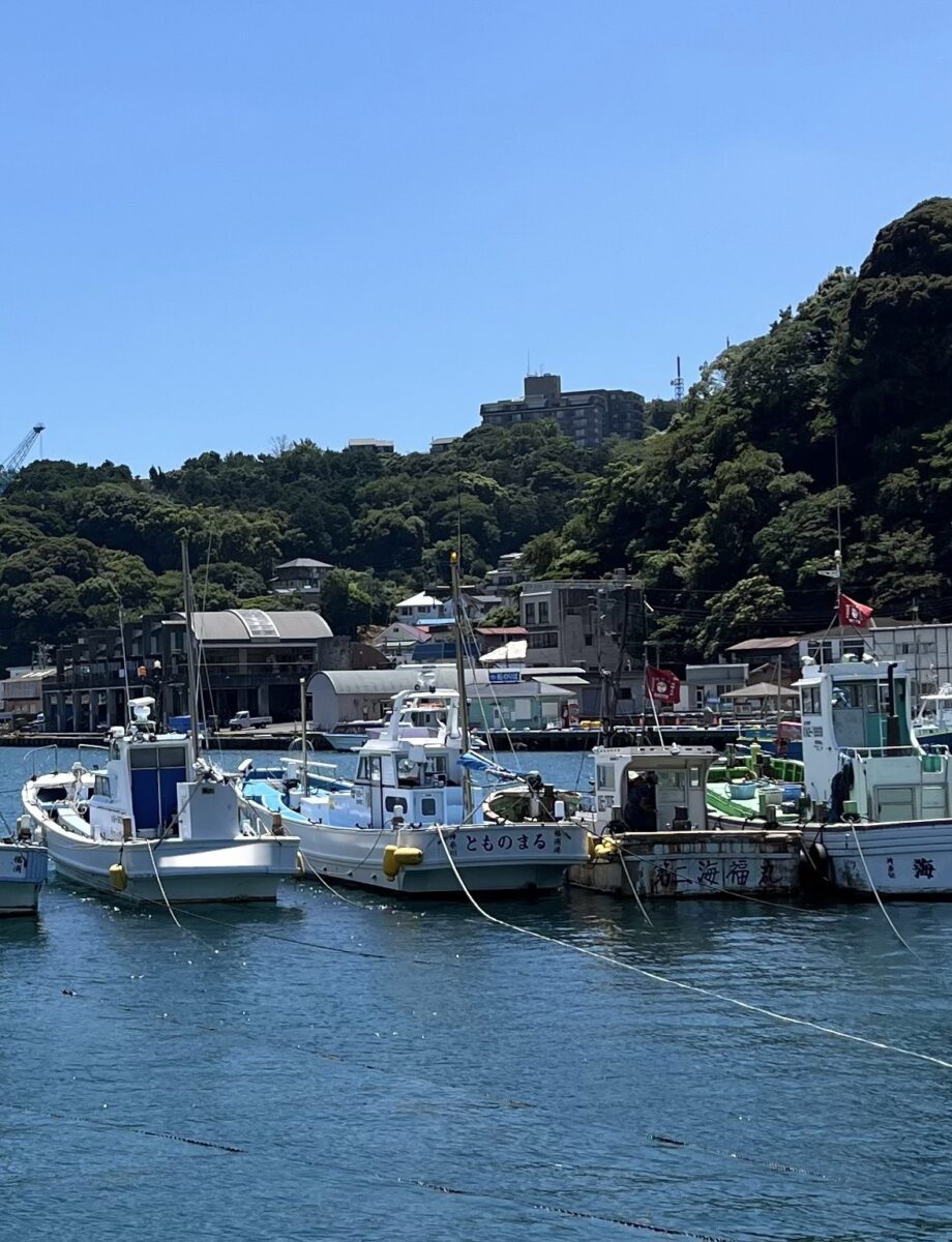 釣果速報