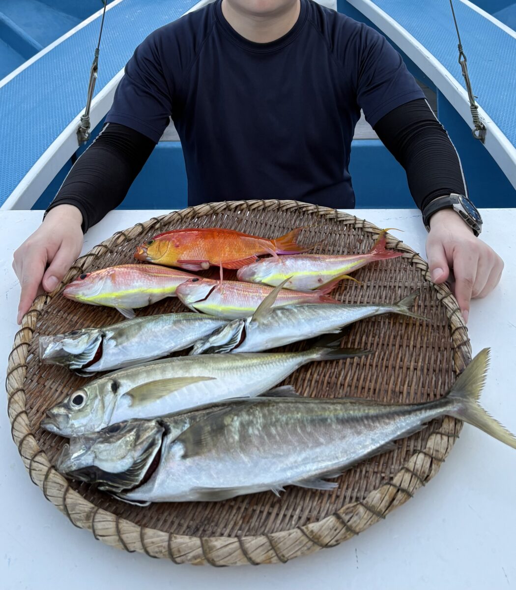 釣果速報